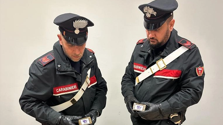 Mezzo chilo di droga in casa  Arrestati fratello e sorella