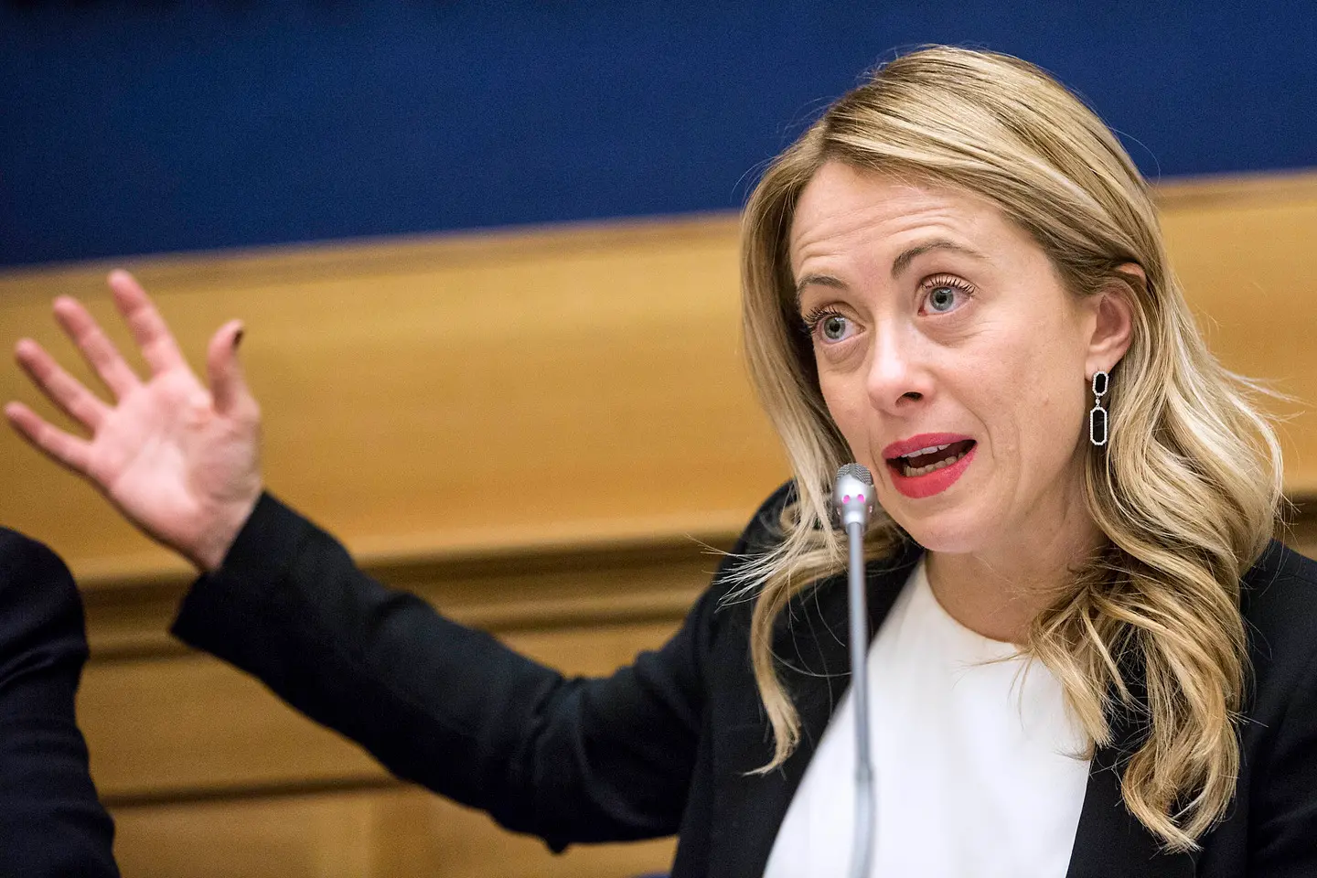 Strappa i manifesti elettorali di Giorgia Meloni, 17enne denunciato