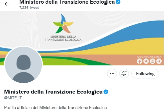 Profilo Twitter Mite 