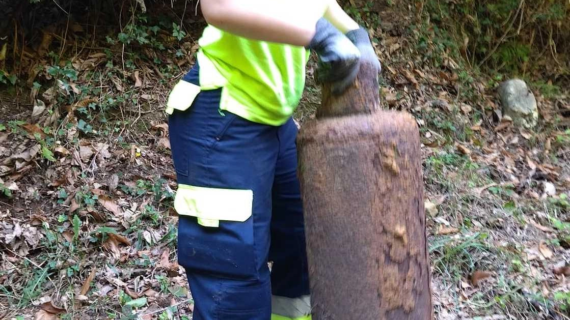 Rifiuti di ogni tipo abbandonati a Pietrasanta: bombole del gas nel fosso dei Murli
Rifiuti di ogni tipo abbandonati a Pietrasanta: bombole del gas nel fosso dei Murli
