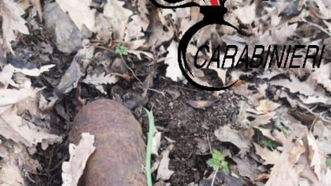 Ordigno bellico trovato in un bosco: ieri "brillamento" in sicurezza Ordigno bellico trovato in un bosco: ieri "brillamento" in sicurezza
