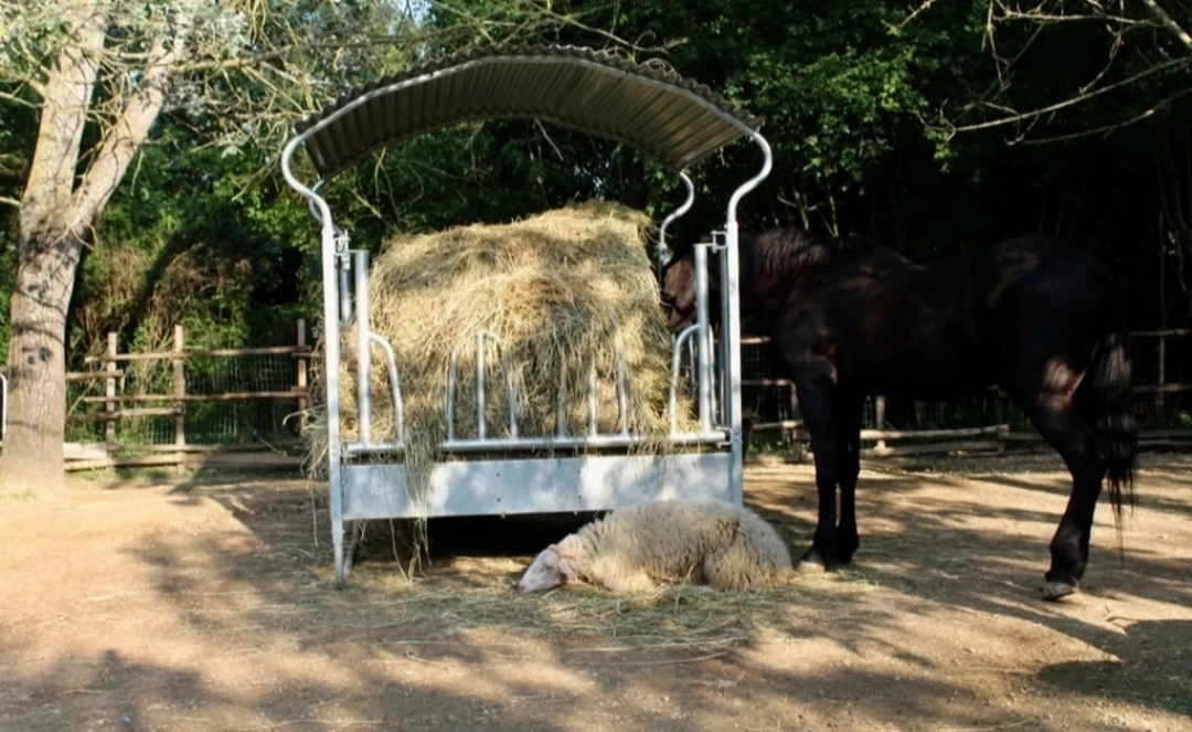 immagine di sfondo 11