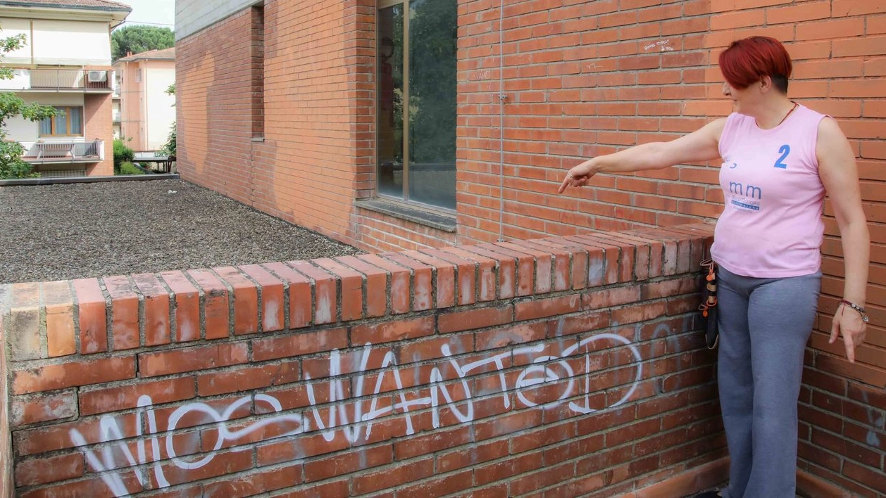 Vandalismi a scuola (foto Tommaso Gasperini/Germogli)