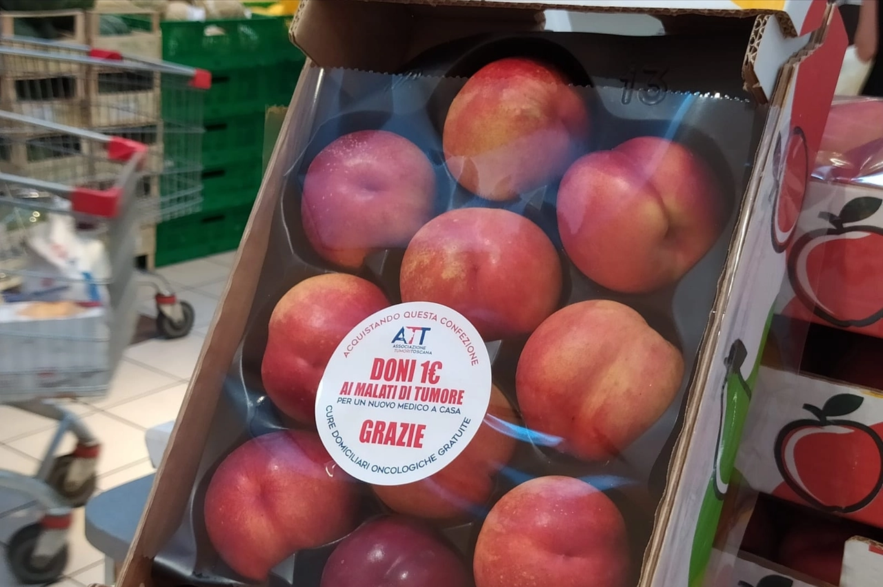 Le pesche solidali