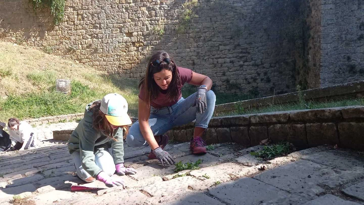 Si rinnova l’appuntamento con un gruppo di campeggiatori della chiesa evangelica che ogni settembre si reca sul colle etrusco per liberarla da erbacce e spazzatura