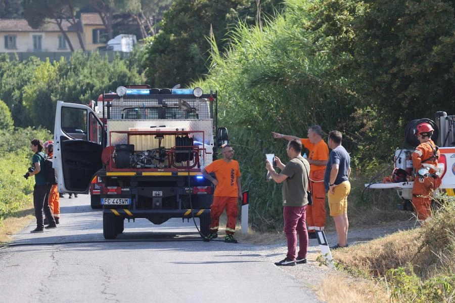 immagine di sfondo 8