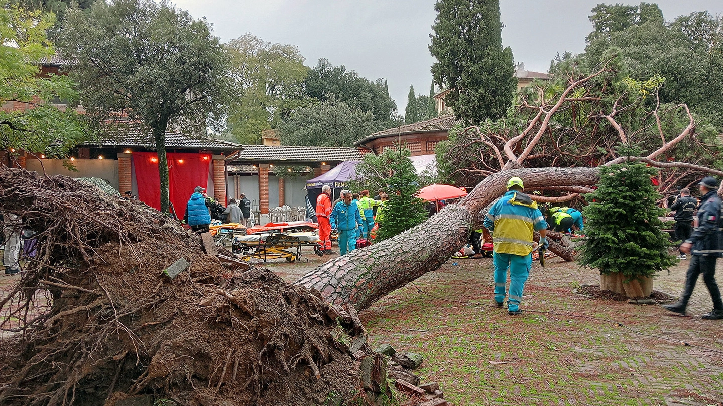 L'albero caduto: sette le persone ferite