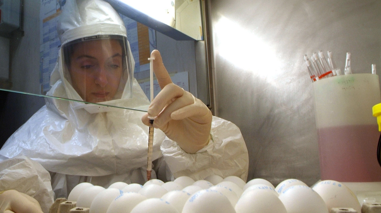 Controlli in laboratorio (archivio) Controlli in laboratorio (archivio)
