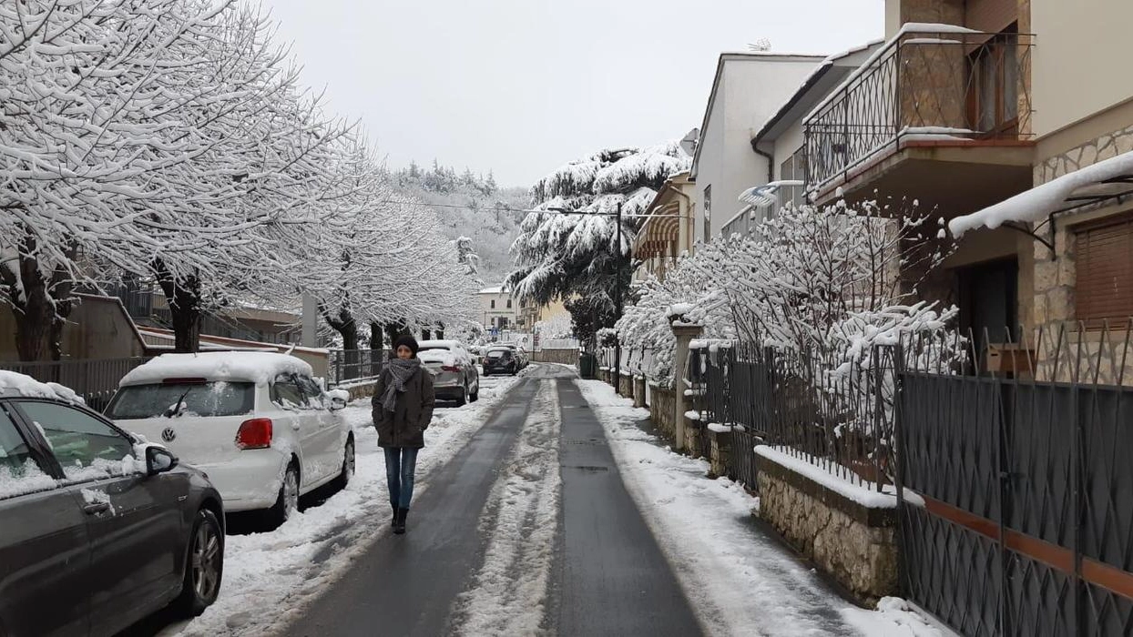 La neve a Castelnuovo Valdicecina