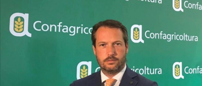 “Troppi ungulati. Bisogna incrementare gli abbattimenti”. Allarme di Confagricoltura