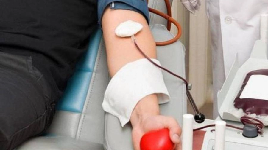 Donazione di sangue (immagine di repertorio)  