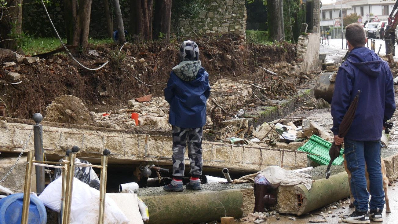 Tutti in classe per le lezioni. Asilo inagibile, bimbi trasferiti. Pulizia strade: ecco la mappa Tutti in classe per le lezioni. Asilo inagibile, bimbi trasferiti. Pulizia strade: ecco la mappa