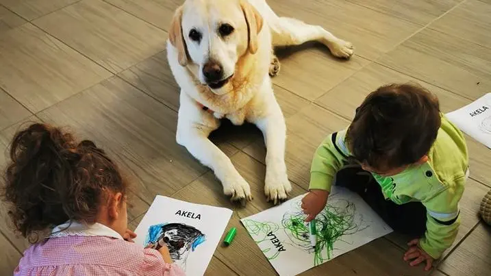 "Chi si somiglia si piglia" è il titolo dello spettacolo con protagonisti cani e padroni "Chi si somiglia si piglia" è il titolo dello spettacolo con protagonisti cani e padroni