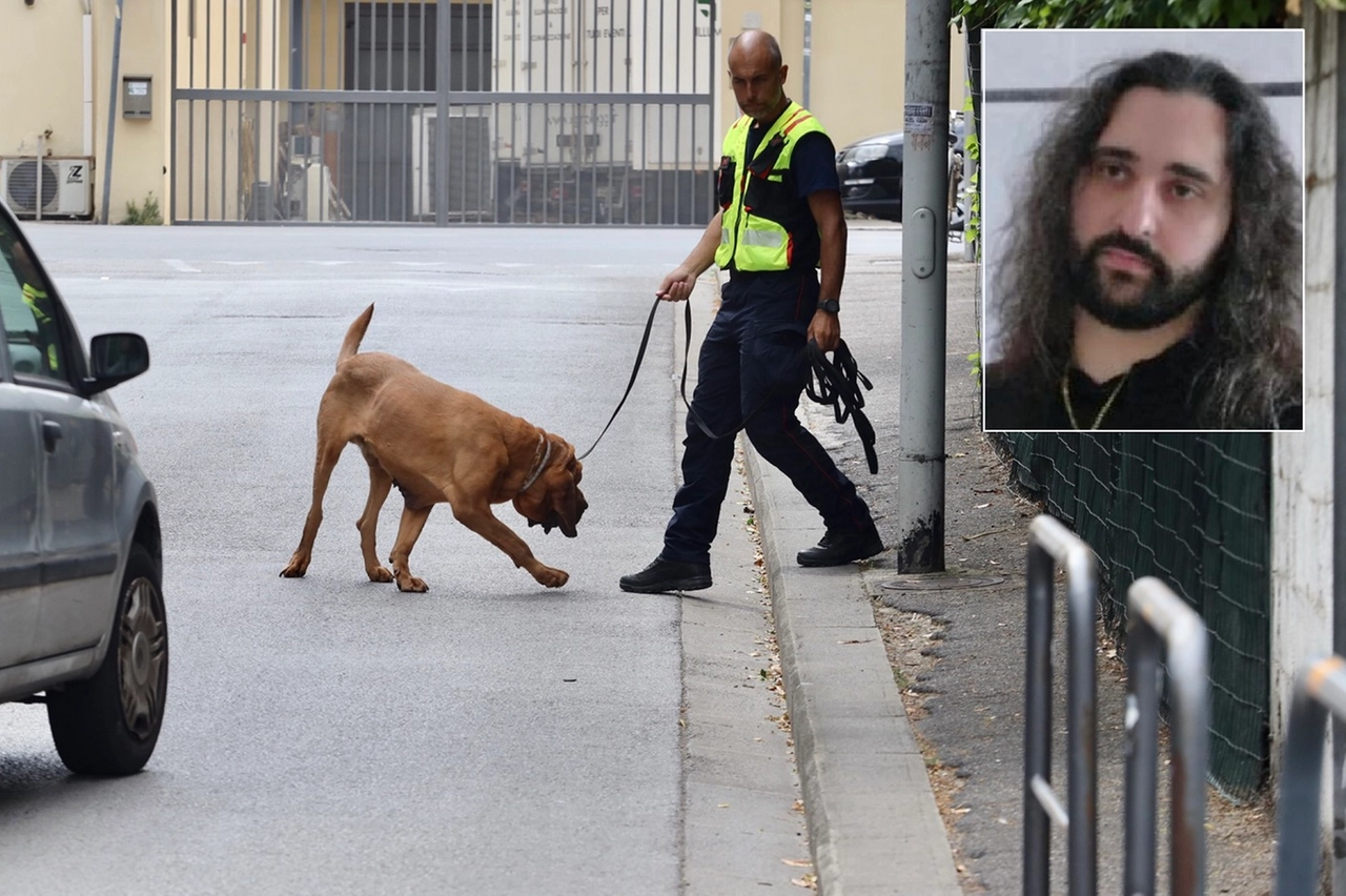 Le ricerche con le unità cinofile e Cristian Mancianti (New Press Photo)