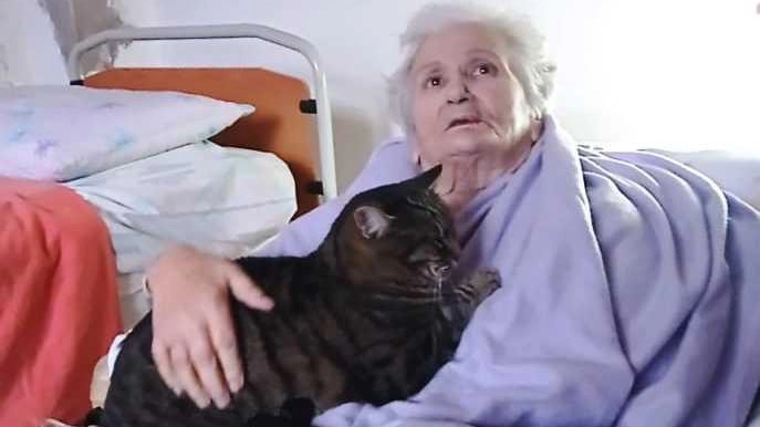 La grande gioia di Dora Esulta la figlia Anna: "Ho detto a mamma che avevamo vinto" La grande gioia di Dora Esulta la figlia Anna: "Ho detto a mamma che avevamo vinto"