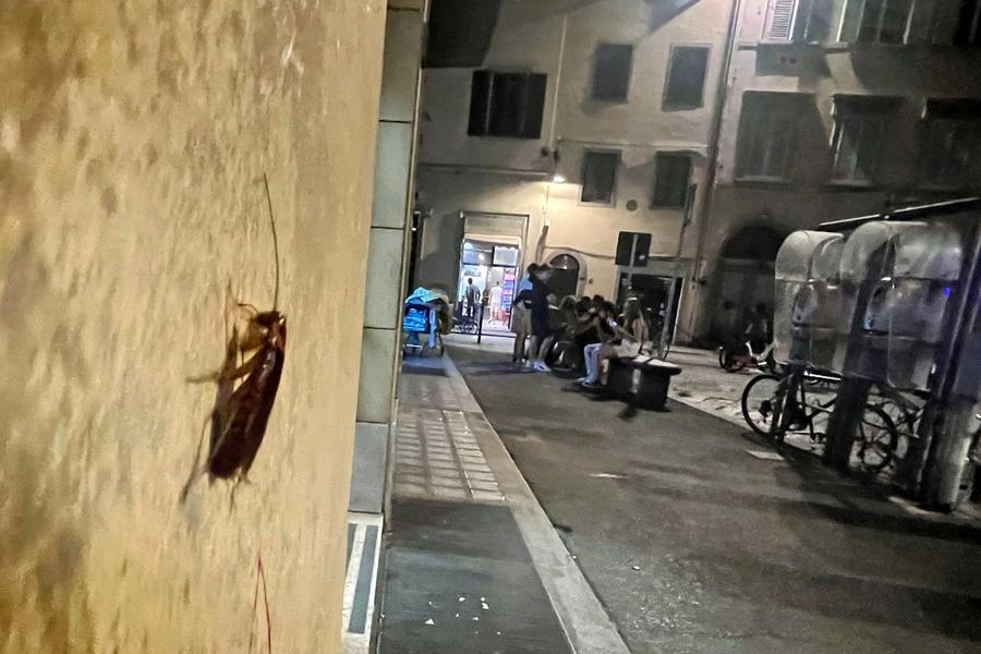 immagine di sfondo 1