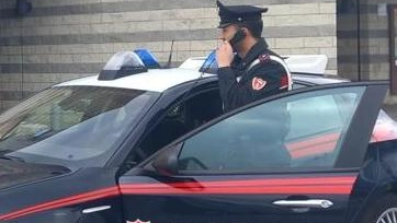 Sarzana, la coppia ha insospettito i carabinieri: dal 2019 al 2022 aveva percepito il reddito di cittadinanza. Il quarantenne arrestato con altri tre nell’ambito di un’indagine su ’colpi’ in appartamento