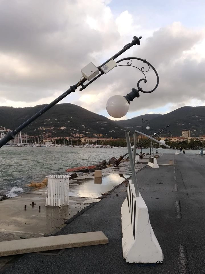 immagine di sfondo 4