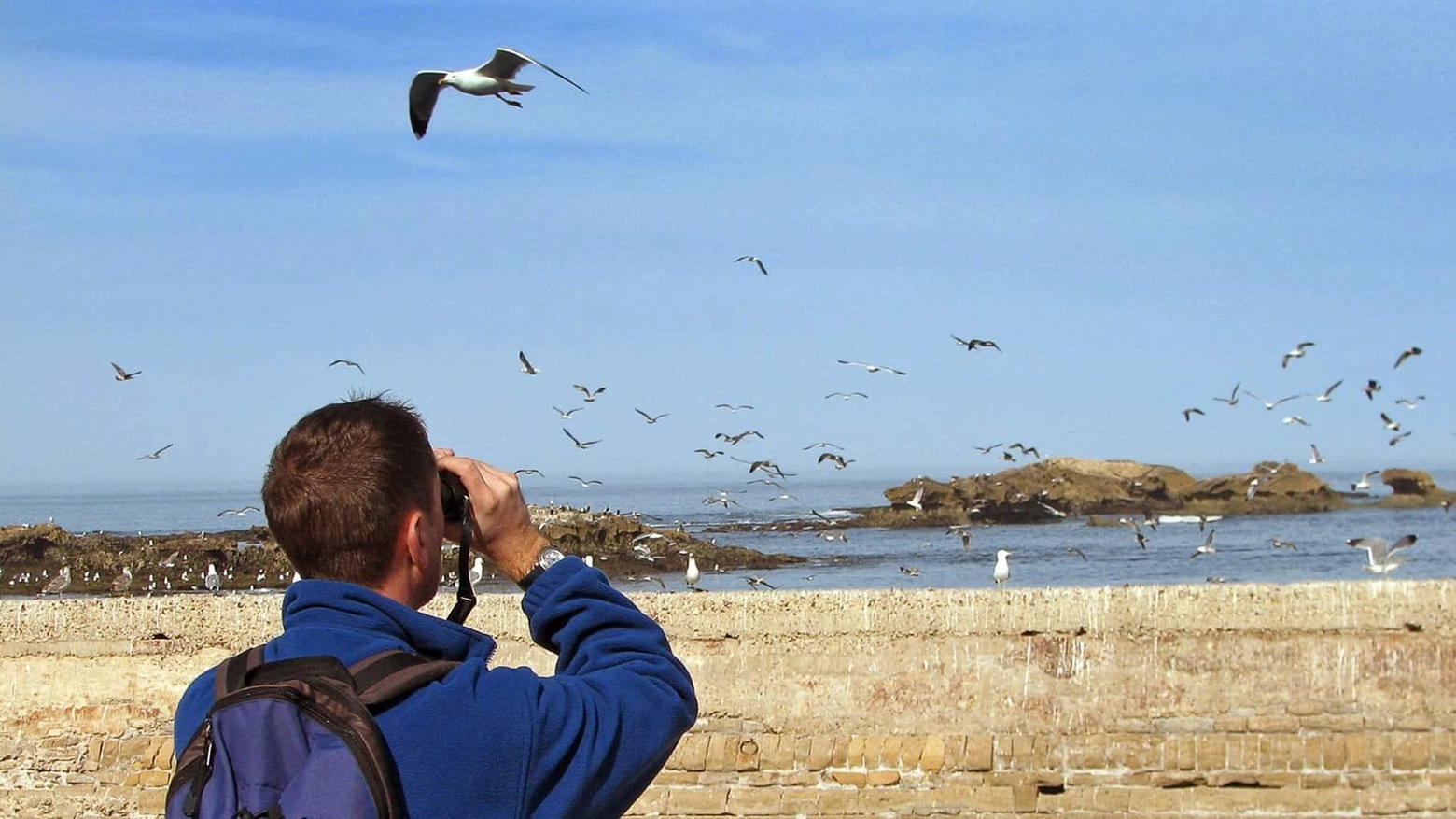 Il fascino del birdwatching. Appuntamenti con la Lipu Il fascino del birdwatching. Appuntamenti con la Lipu