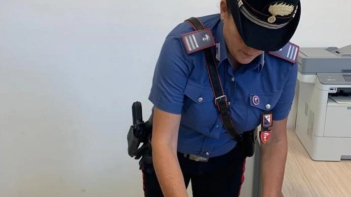 Arrestato con droga a Massa Carrara: sorpreso con 1,4 kg di stupefacenti
Arrestato con droga a Massa Carrara: sorpreso con 1,4 kg di stupefacenti