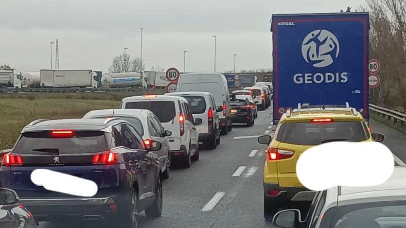 Interventi di potatura drastici e invasivi sui pini che costeggiano la Statale Aurelia provocano rallentamenti del traffico in entrata verso Pisa, causando disagi ai lettori che ogni giorno percorrono la strada.