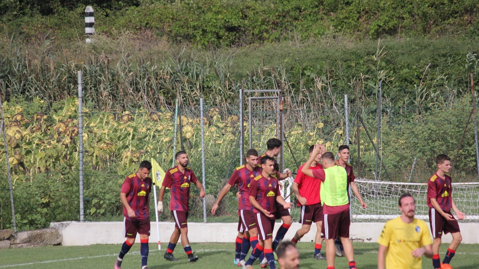 Parte forte il san Frediano Parte forte il san Frediano