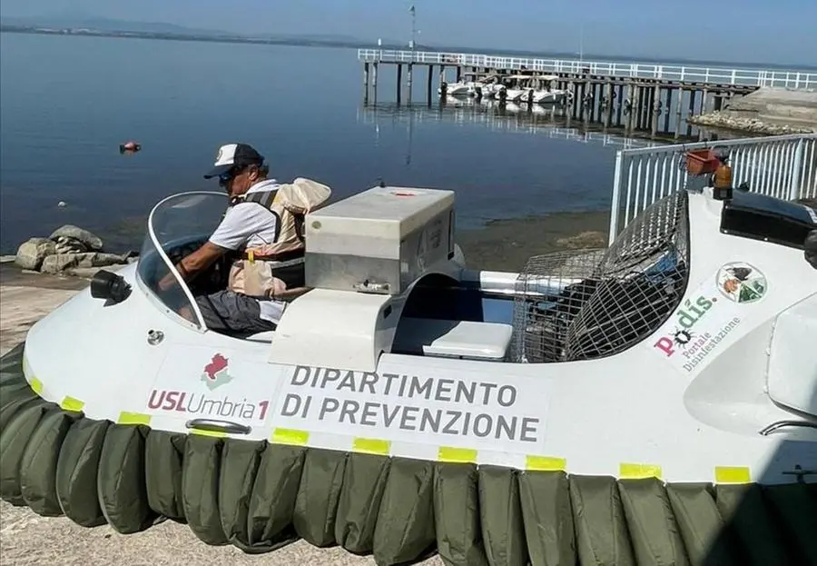 Zanzara ’del Nilo’, Trasimeno a rischio