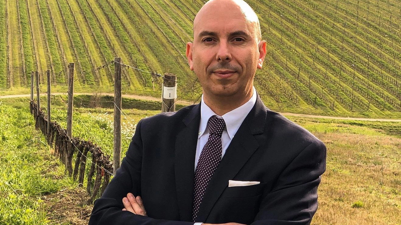 Quante possibilità nel mondo del vino Quante possibilità nel mondo del vino