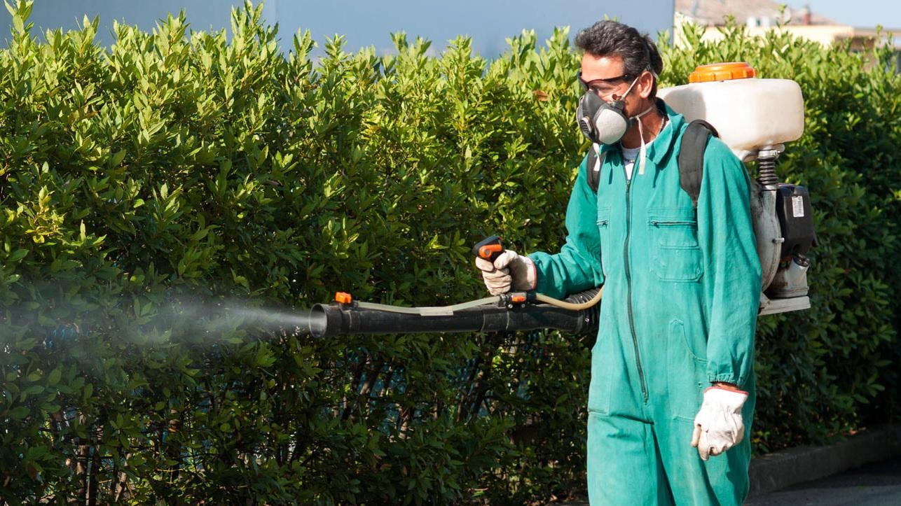 "Disinfestazione in orari assurdi". Caso Dengue, accuse dai residenti "Disinfestazione in orari assurdi". Caso Dengue, accuse dai residenti