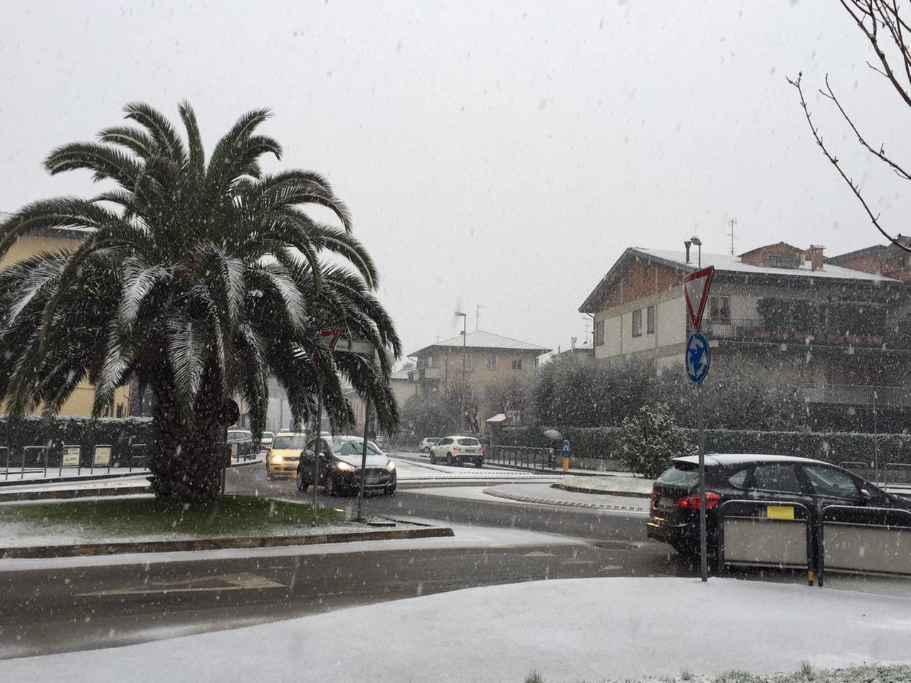 immagine di sfondo 3