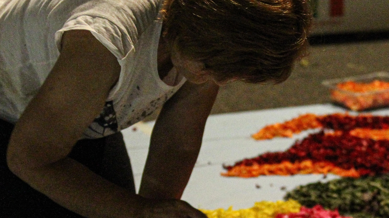 Le donne nella storia Sedici ritratti realizzati con i fiori In mostra da oggi Le donne nella storia Sedici ritratti realizzati con i fiori In mostra da oggi