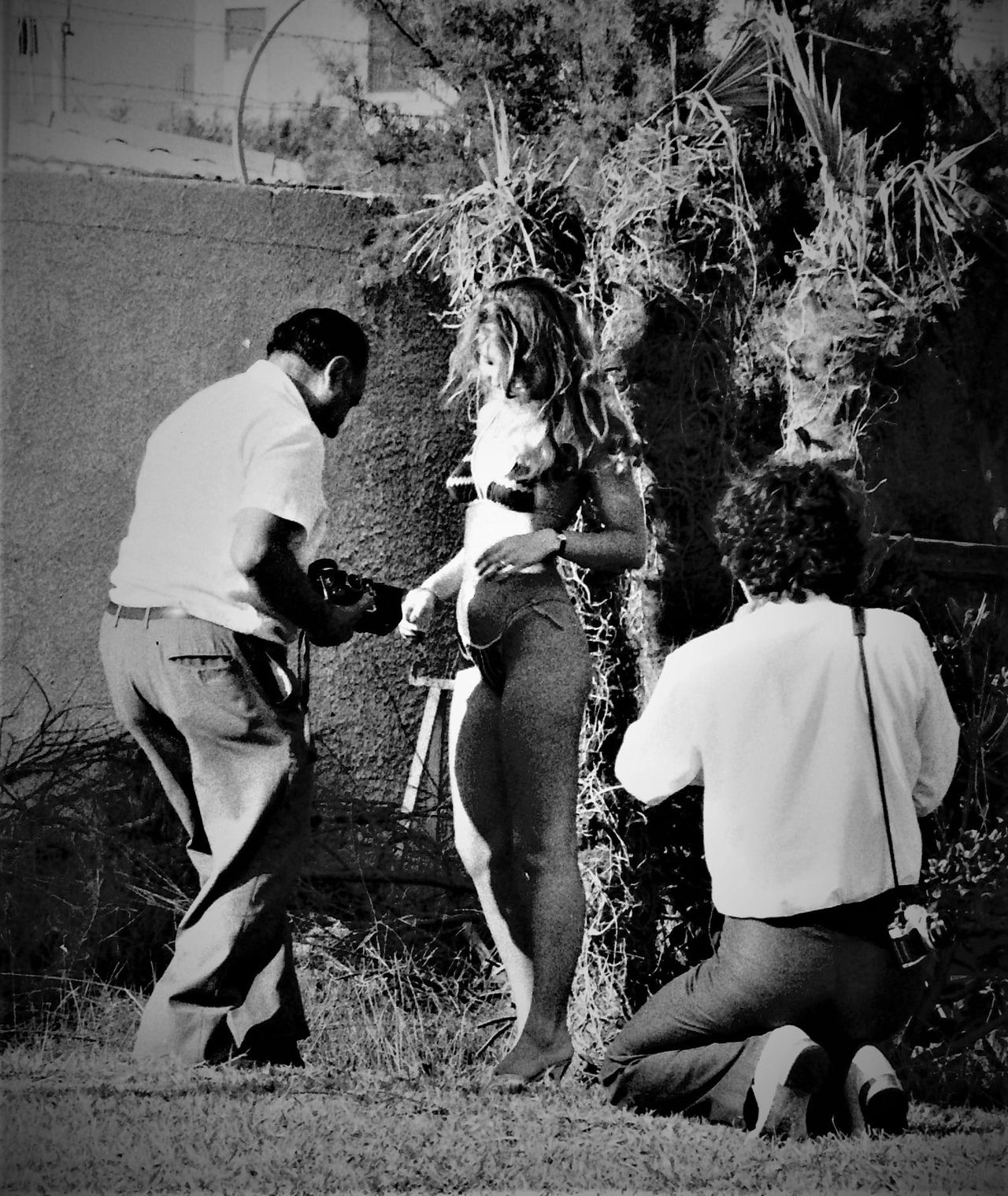 immagine di sfondo 22