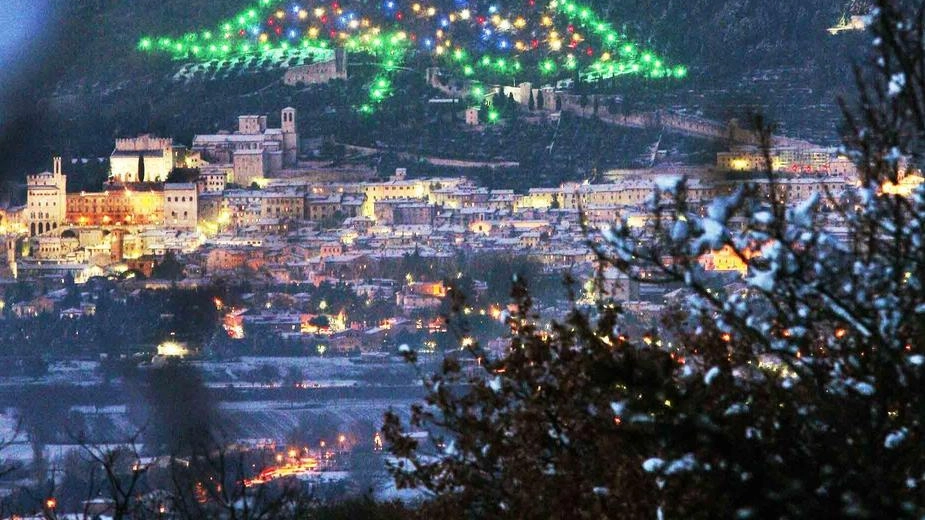 Albero dei record al via Domani inizia l’attività Albero dei record al via Domani inizia l’attività