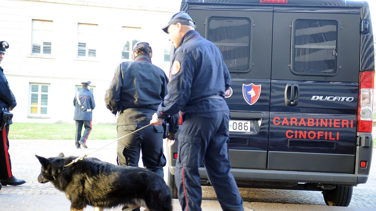 Carabinieri e cani antidroga in azione