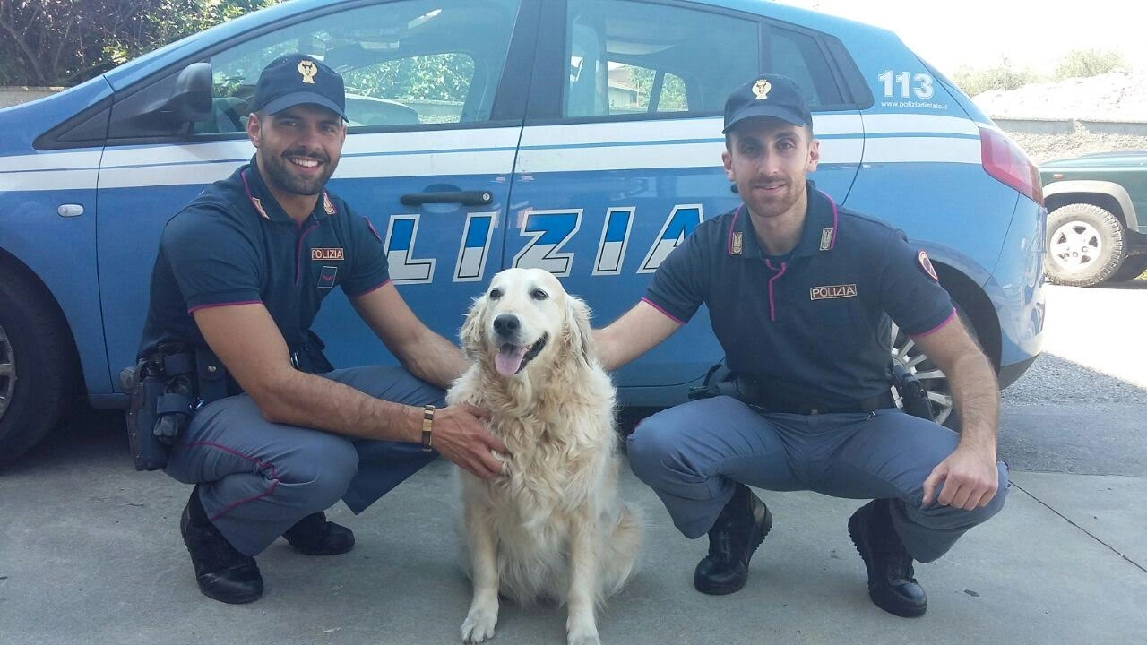 Gli agenti del commissariato hanno salvato un altro cane