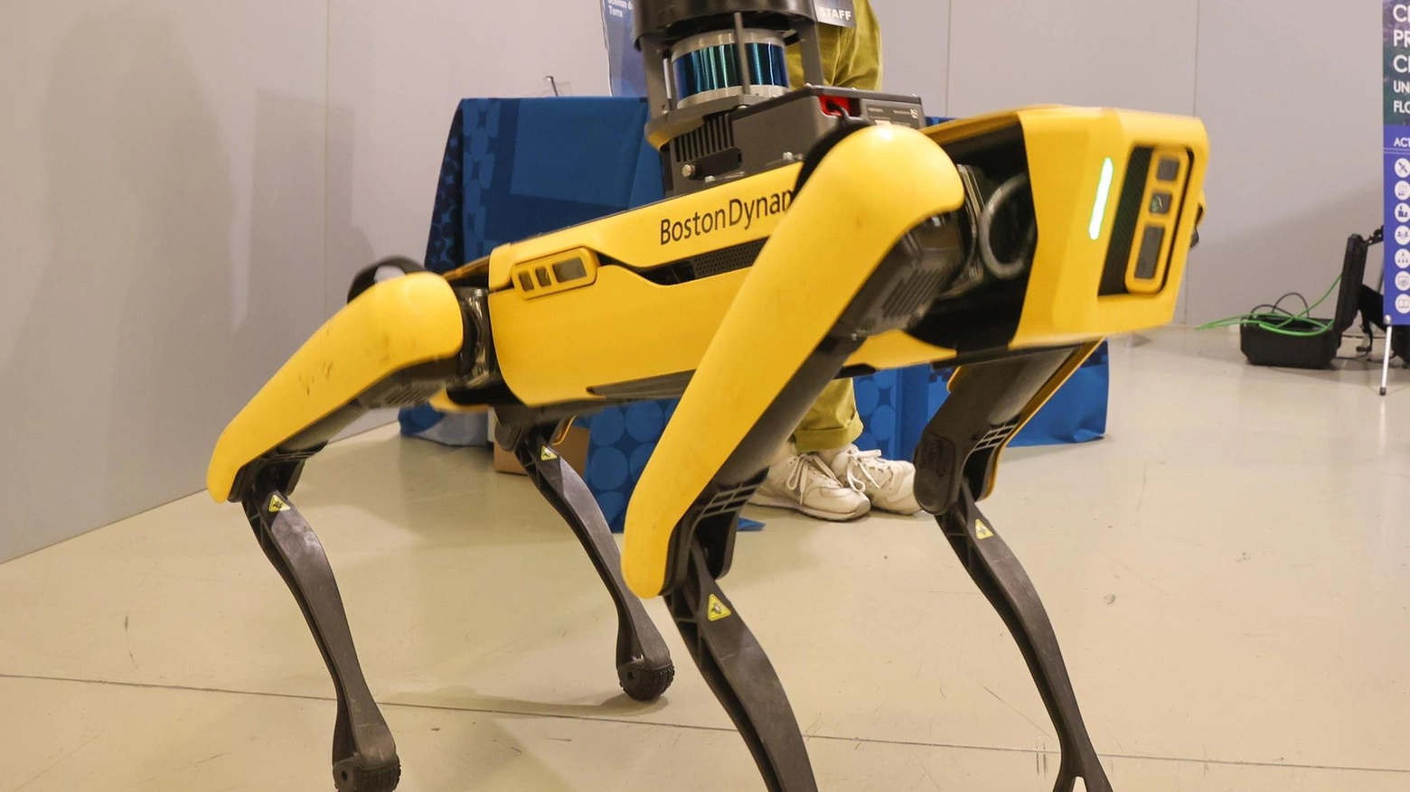 Un cane robot per gli alberi. Il monitoraggio del futuro