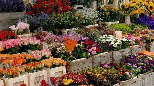 fiori fiori