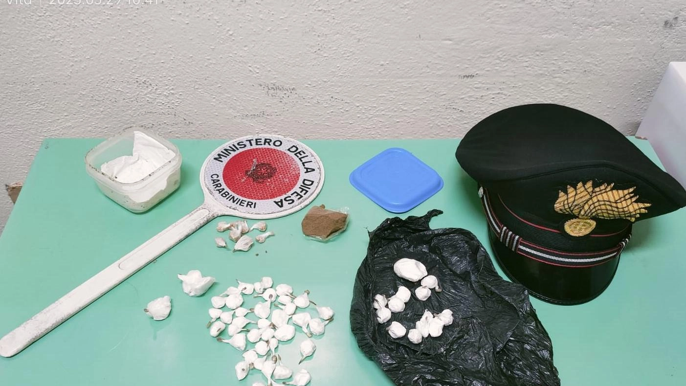 Trovate settanta dosi di droga nel cespuglio di un condominio Trovate settanta dosi di droga nel cespuglio di un condominio