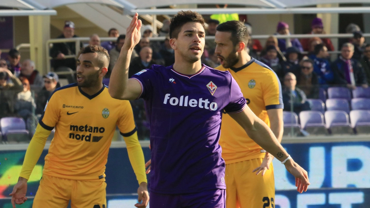 Fiorentina-Hellas Verona (Foto Germogli)