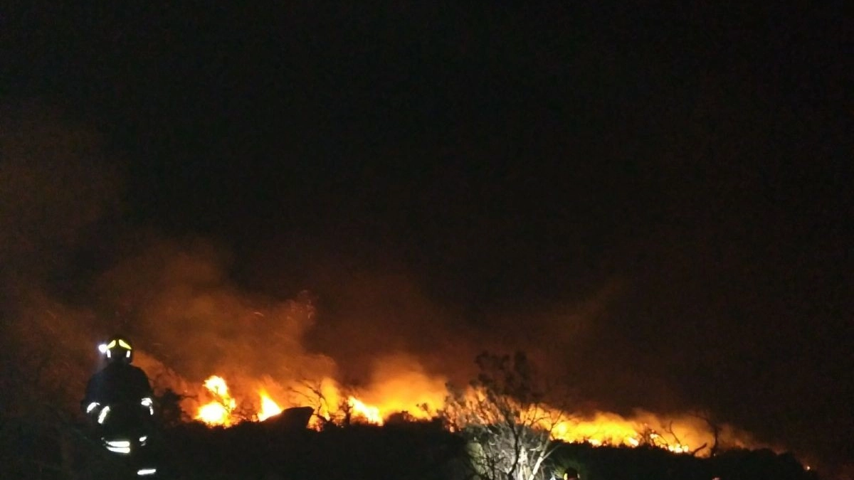 Lotta contro le fiamme all'Isola del Giglio (foto: vigili del fuoco)