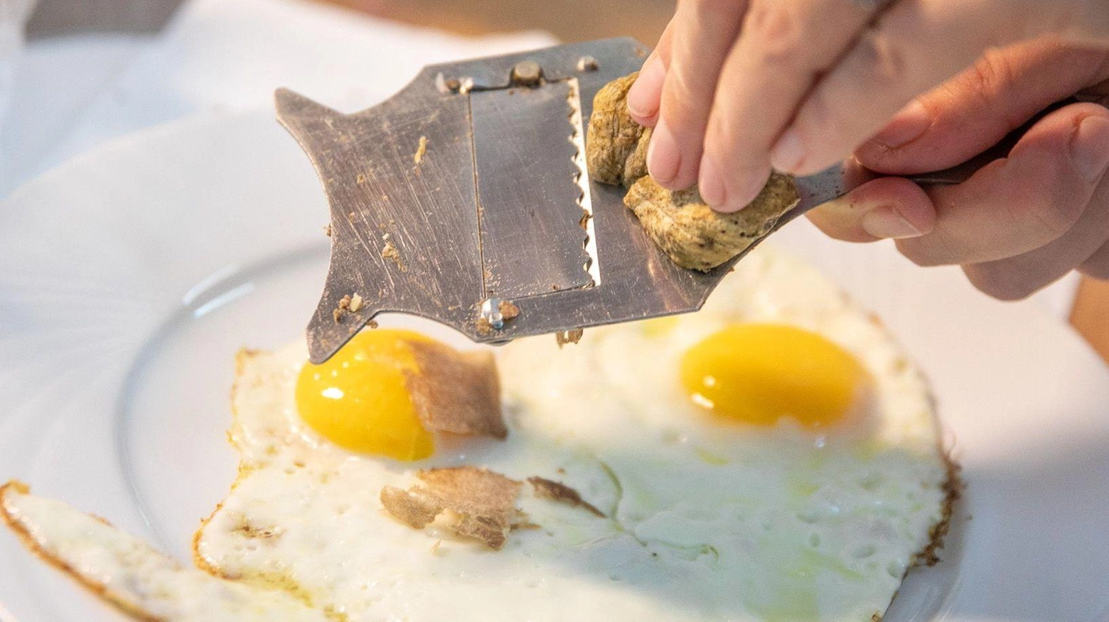 Tartufo bianco, torna la mostra mercato a metà novembre Tartufo bianco, torna la mostra mercato a metà novembre