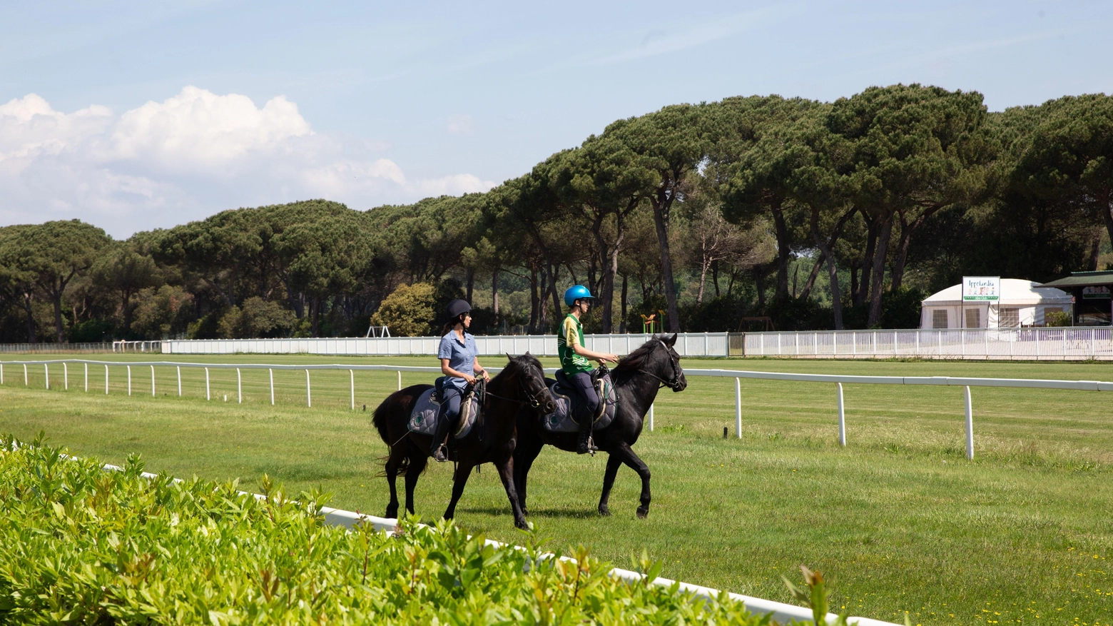 Filiera del cavallo volano di sviluppo  A Pisa il focus sulle "Green Skills"
