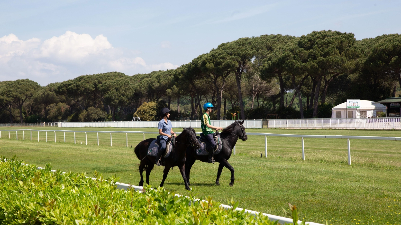 Filiera del cavallo volano di sviluppo A Pisa il focus sulle "Green Skills" Filiera del cavallo volano di sviluppo A Pisa il focus sulle "Green Skills"