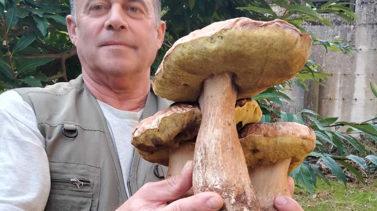 

Funghi a Pontremoli: si apre la stagione di ‘caccia’ nei boschi
