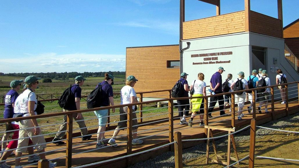 Appello per il centro visite del Padule "Servono volontari appassionati di ambiente, animali e tradizioni" Appello per il centro visite del Padule "Servono volontari appassionati di ambiente, animali e tradizioni"