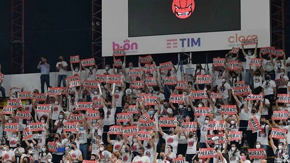 "Innamorati... sempre di più": così la Sir Susa Vim lancia la campagna abbonamenti "Innamorati... sempre di più": così la Sir Susa Vim lancia la campagna abbonamenti