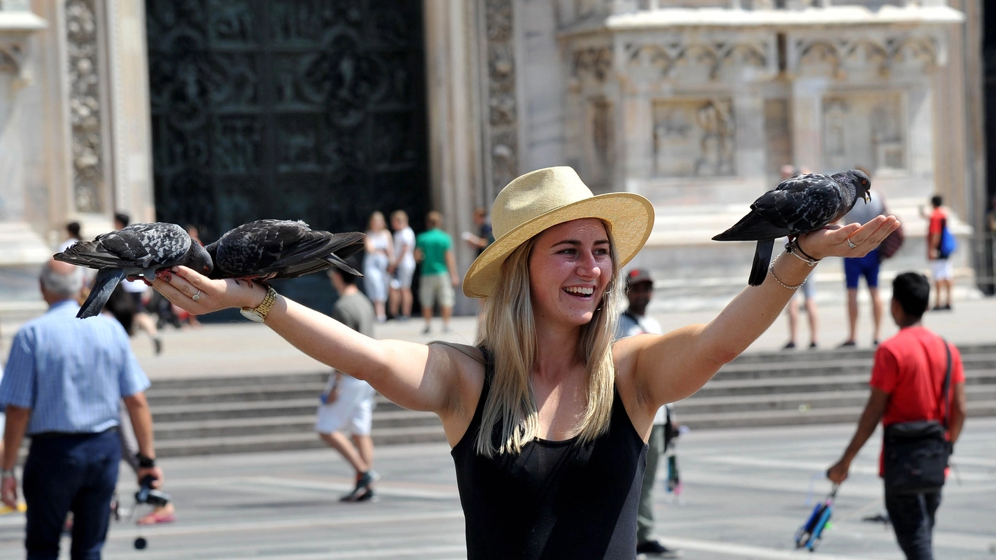  I piccioni sporcano Pontremoli ma anche piazza del Duomo a Milano e San Marco a Venezia
