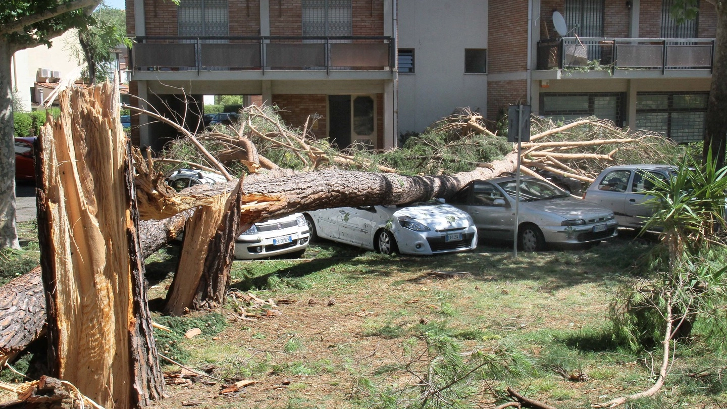 Via di Villamagna, scene di distruzione (New Press Photo)