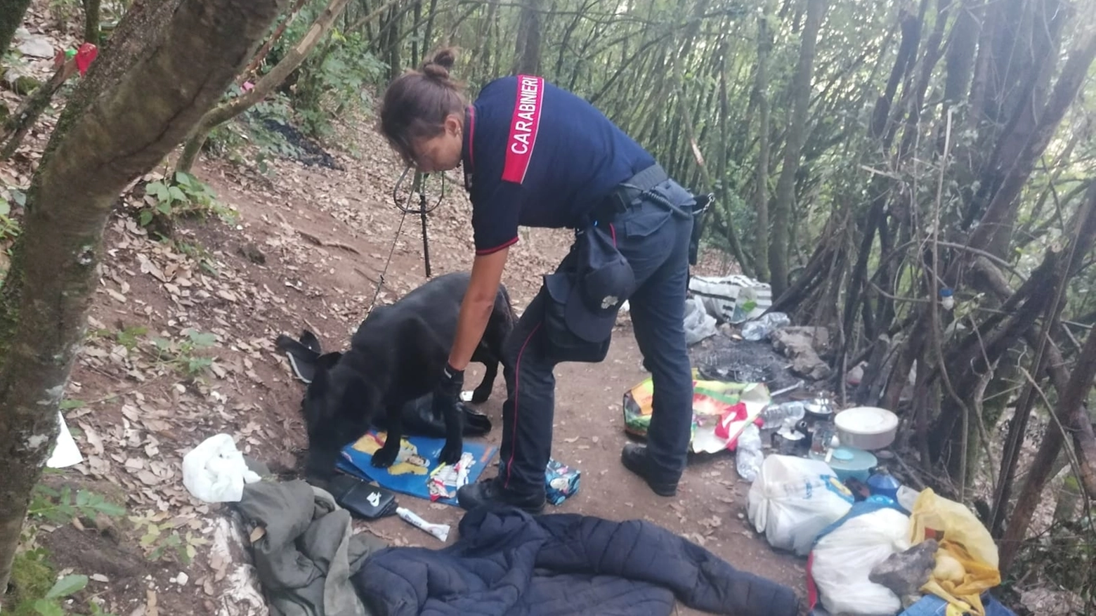 L'operazione dei carabinieri L'operazione dei carabinieri