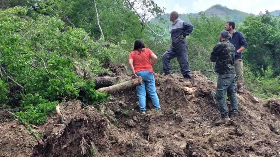 Mugello Castagneti in crisi  Aziende ’chiuse’ per frane